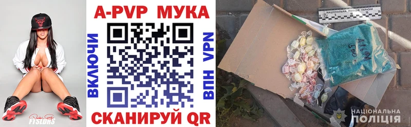 Alfa_PVP СК КРИС Новая Ладога
