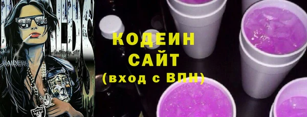 прущие грибы Гусь-Хрустальный