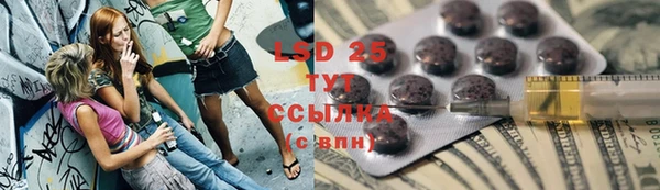 прущие грибы Гусь-Хрустальный