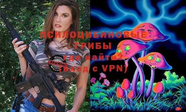 эйфоретик Гусиноозёрск