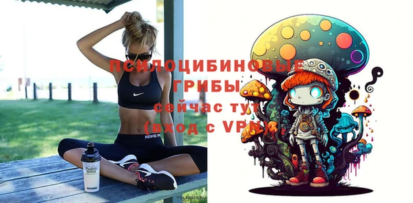 прущие грибы Гусь-Хрустальный