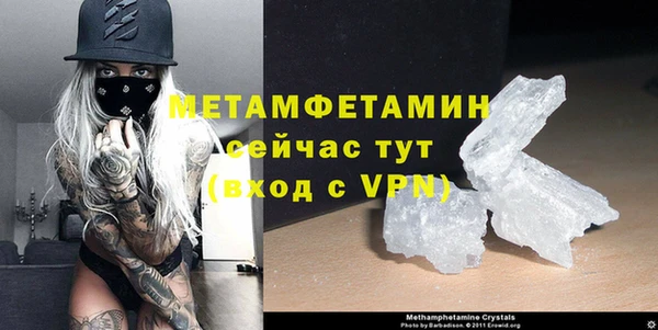 прущие грибы Гусь-Хрустальный