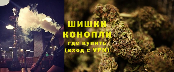 2c-b Гусев