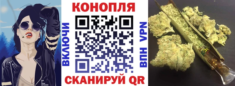 Купить закладки  Новая Ладога  Канабис White Widow 